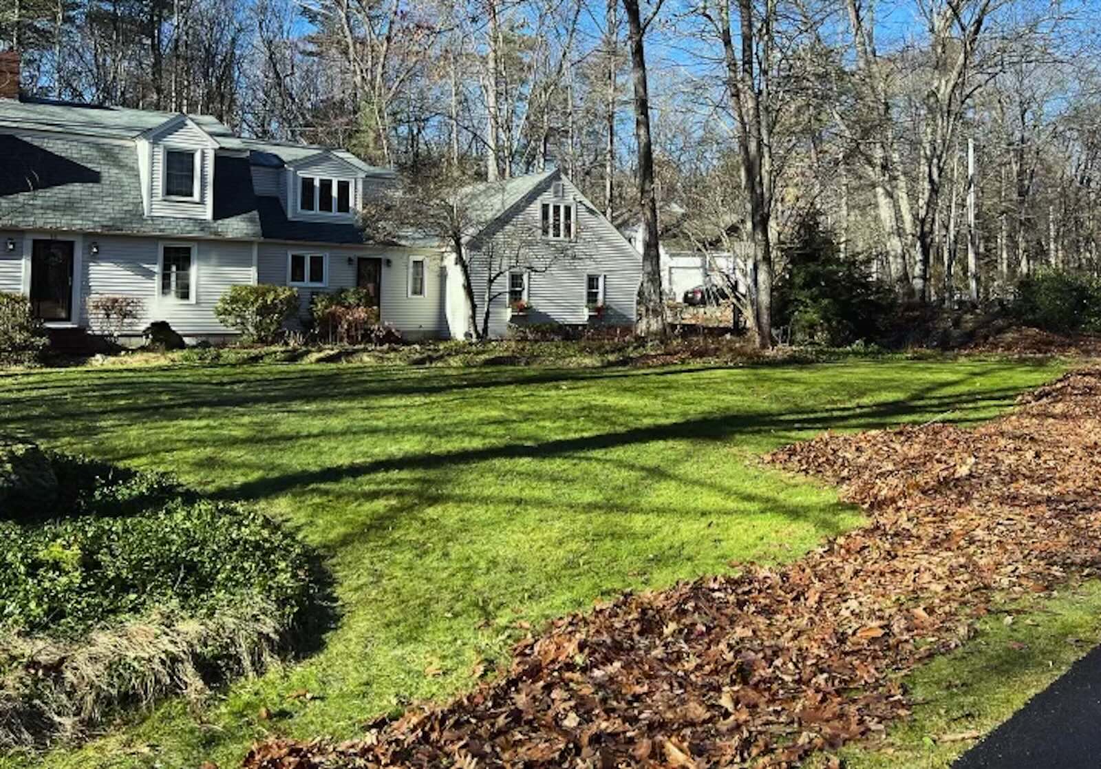 Clean lawn with leaves piled along curb after fall leaf cleanup in Portsmouth NH
