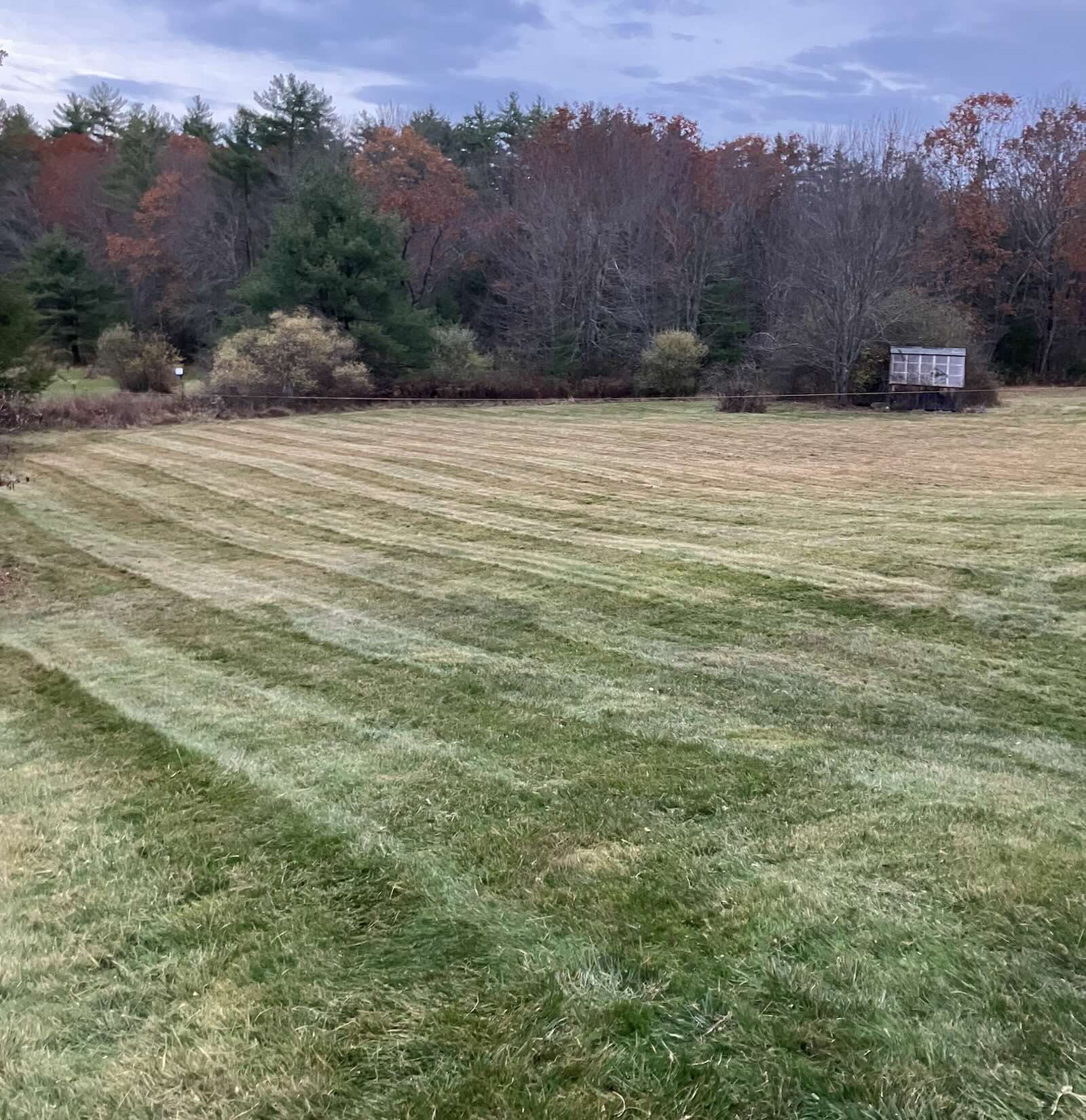 Freshly mowed striped lawn and field after property cleanup in Durham NH