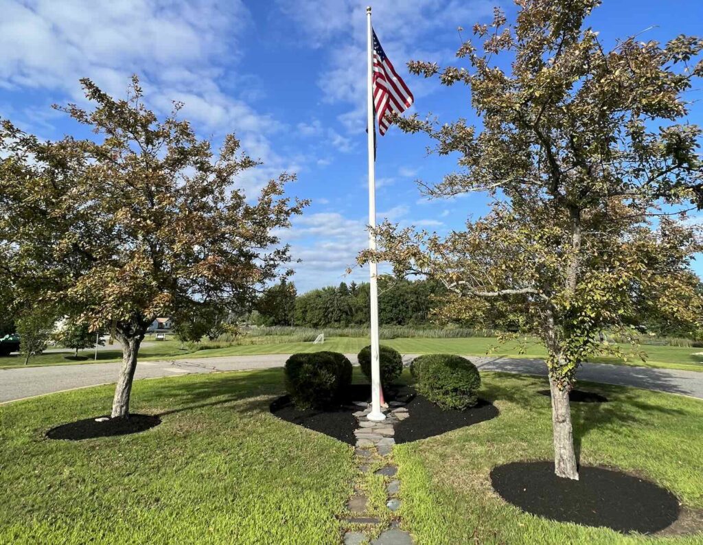 Fresh mulch and neatly trimmed shrubs after landscape bed cleanup in Newington NH