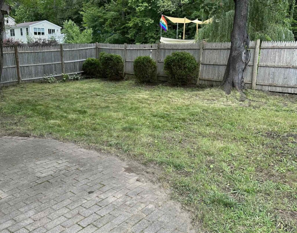 Backyard after landscape cleanup with lawn mowed, shrubs trimmed, and debris removed in Portsmouth NH