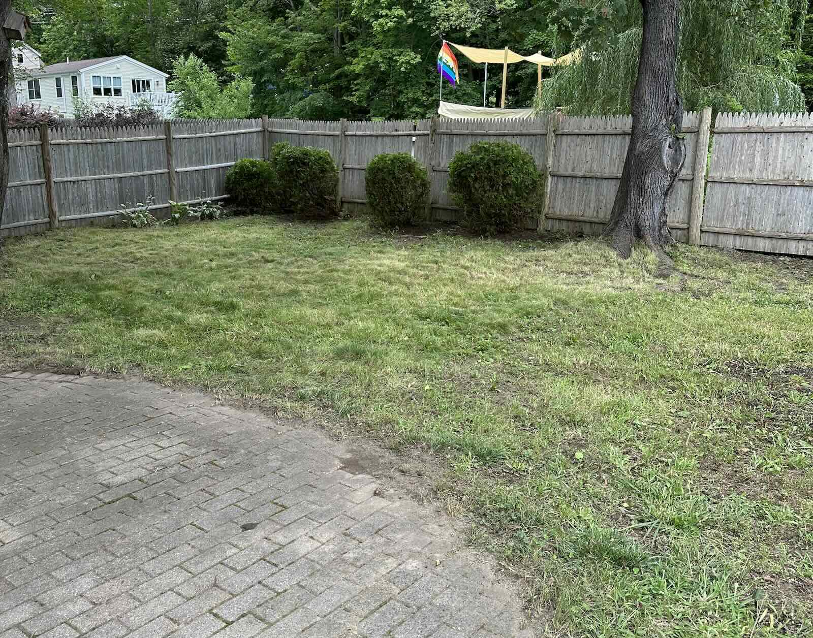 Backyard after landscape cleanup with lawn mowed, shrubs trimmed, and debris removed in Portsmouth NH