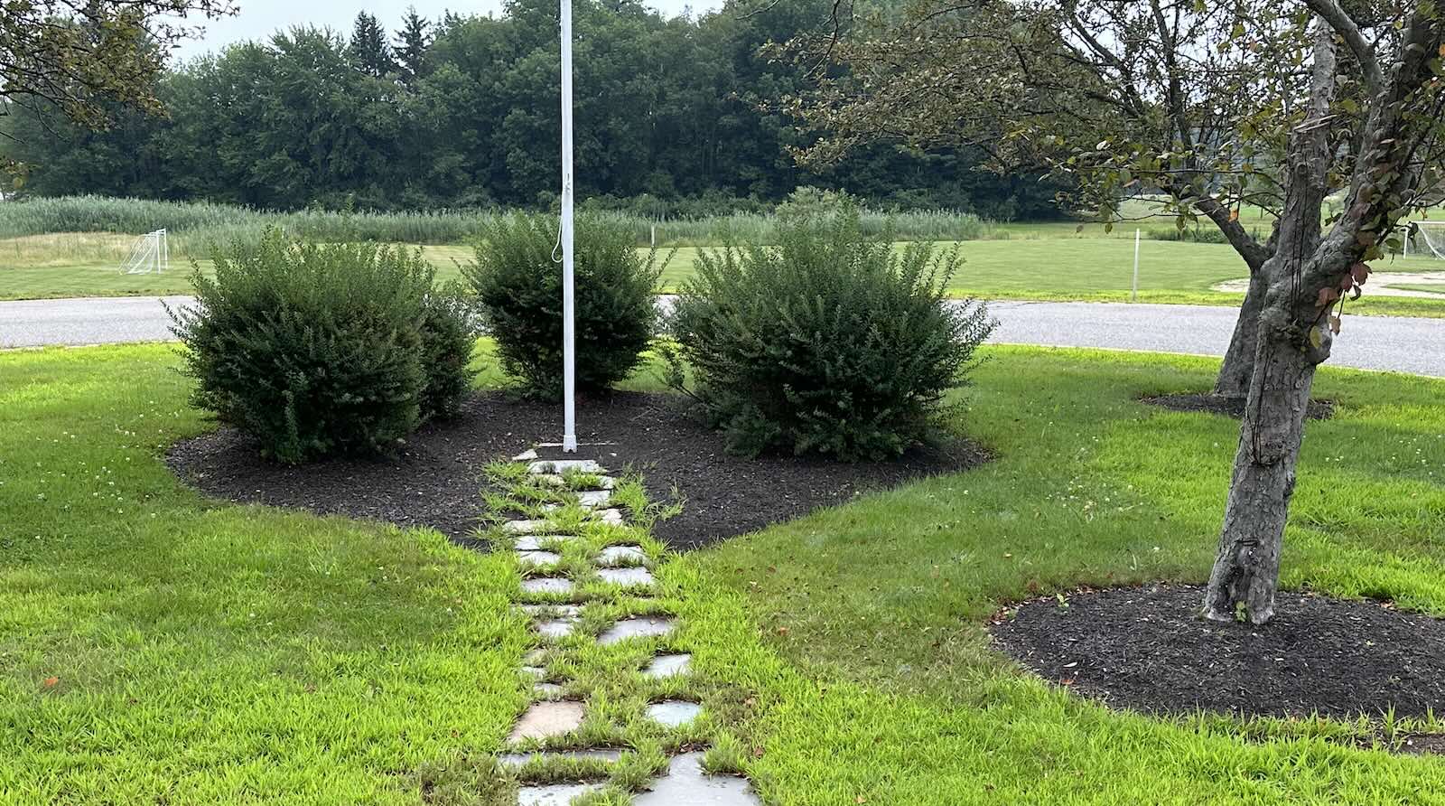 Old mulch and overgrown shrubs around the flagpole before landscaping cleanup in Newington NH