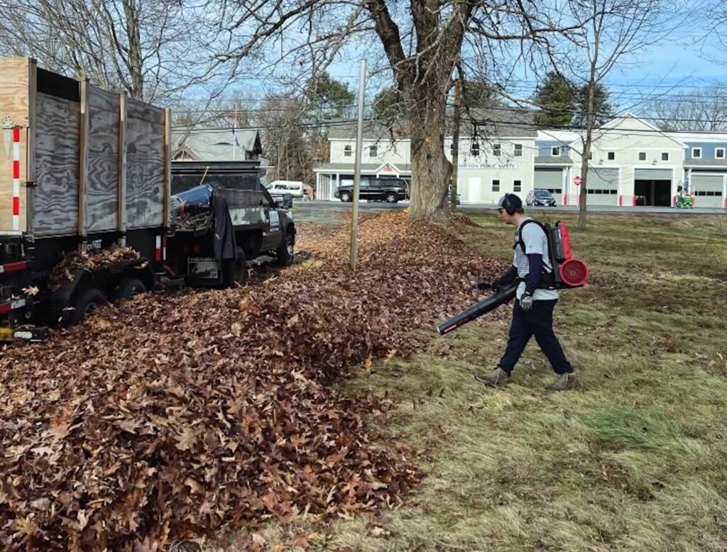 Large pile of leaves along driveway with team member blowing leaves during fall cleanup in Portsmouth NH