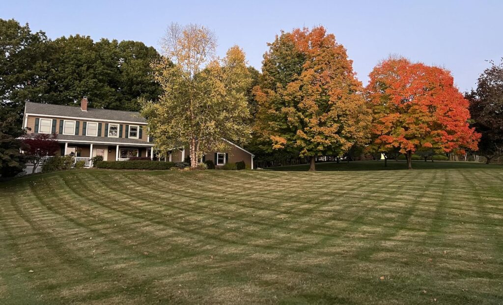 Freshly striped lawn during fall cleanup season in Newington NH with autumn foliage