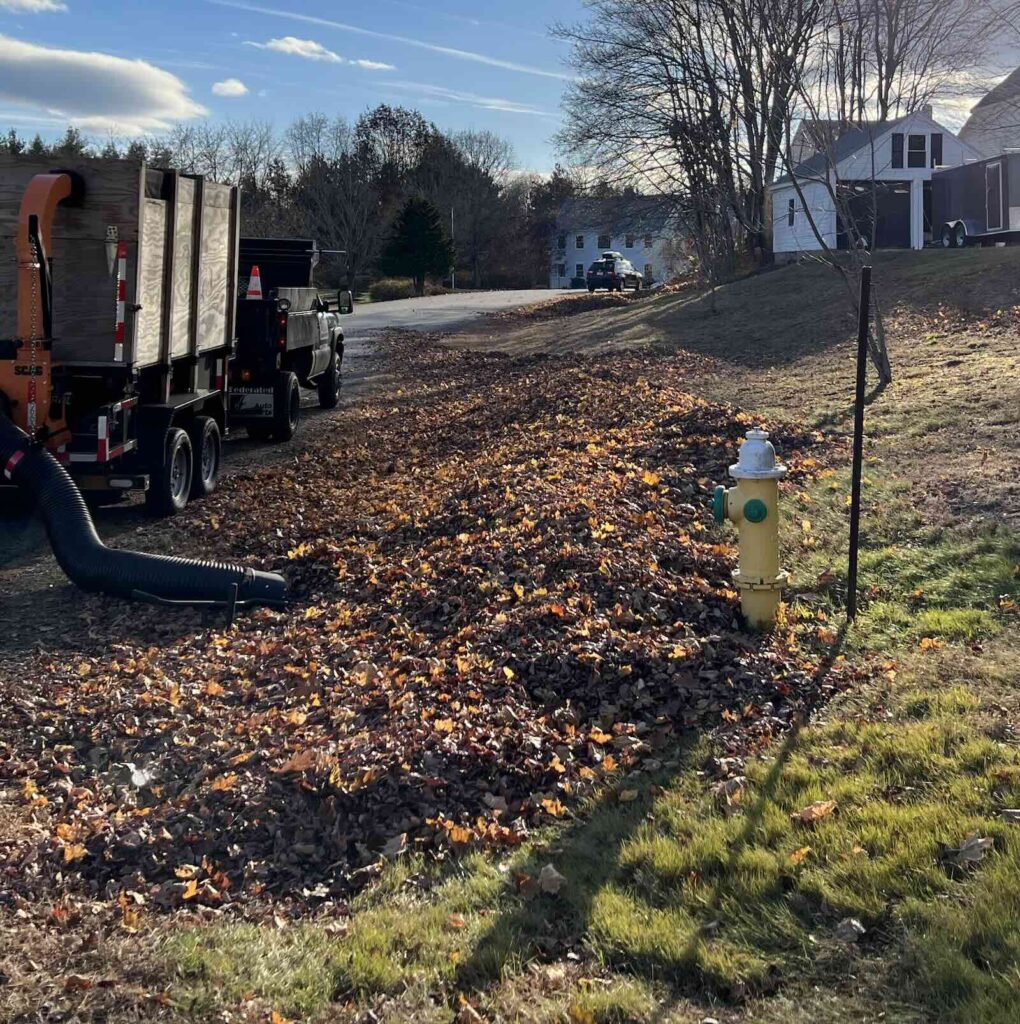 Large pile of leaves along roadside ready for leaf vacuum pickup during fall leaf cleanup in Stratham NH