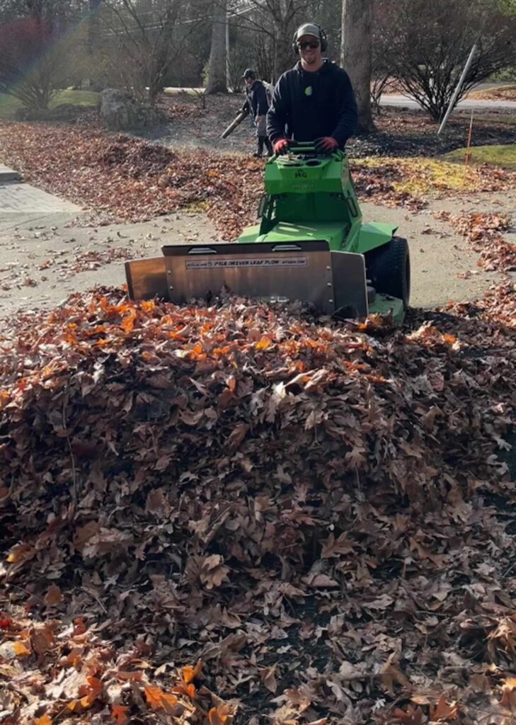 Large pile of leaves with Mean Green mower pushing leaves during fall leaf cleanup in Durham NH