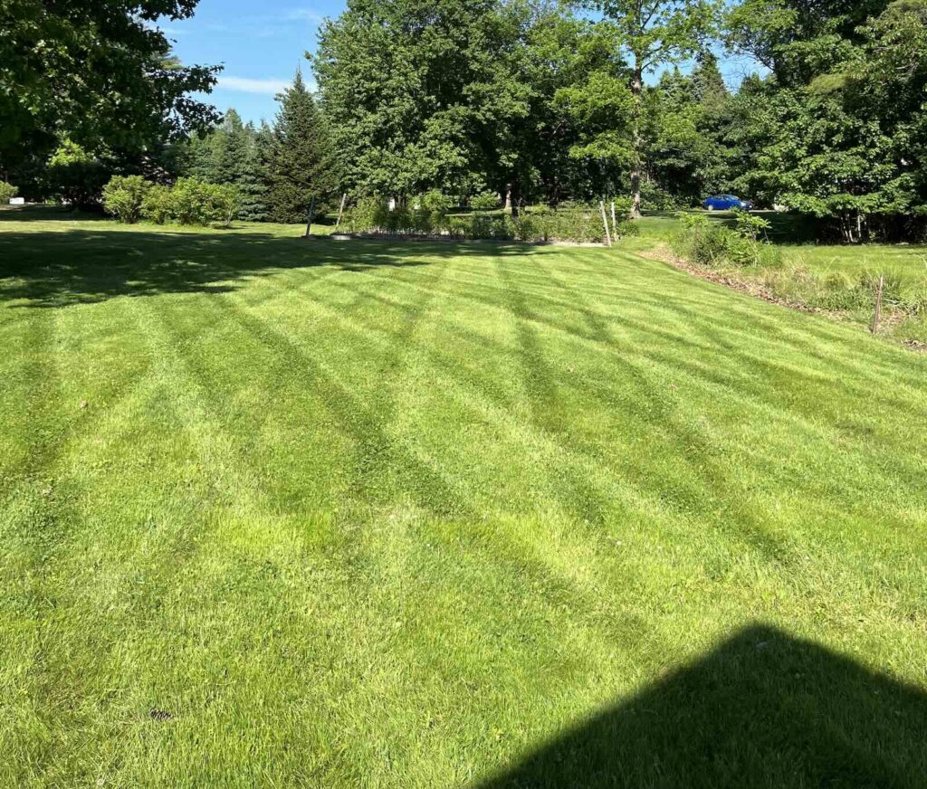 Striped lawn pattern after professional lawn mowing and landscaping in Dover NH