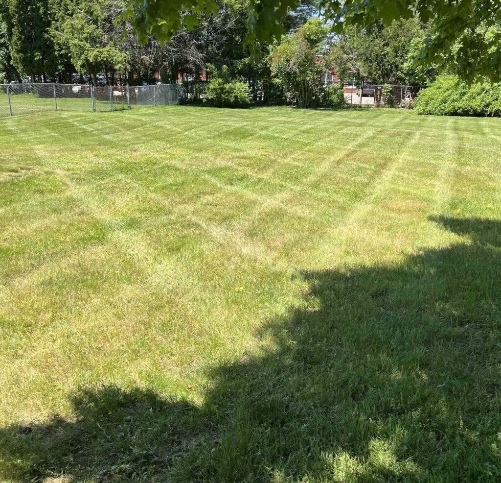 Freshly striped backyard lawn after landscaping and mowing service in Dover NH
