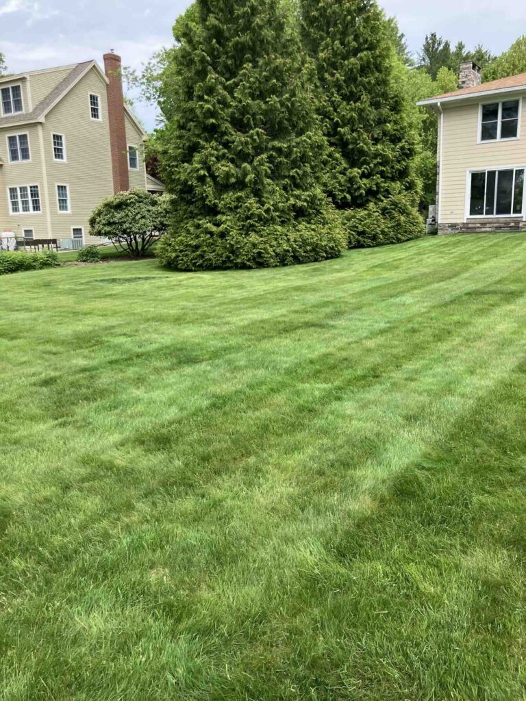Professional landscaping and lawn mowing service in Portsmouth NH