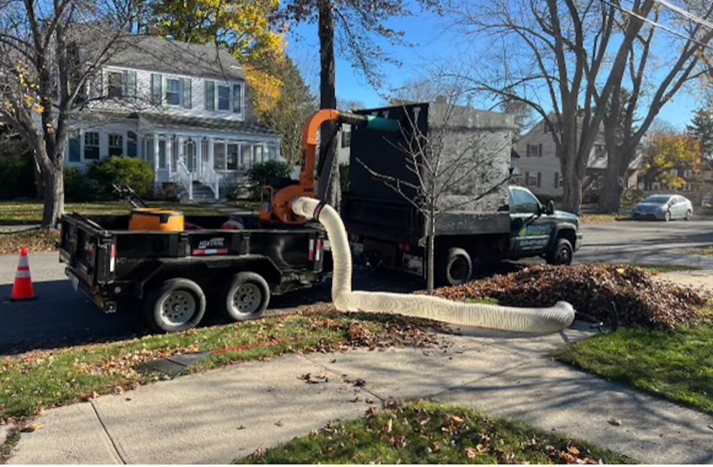 Leaf removal and leaf pile vacuum service in Portsmouth NH
