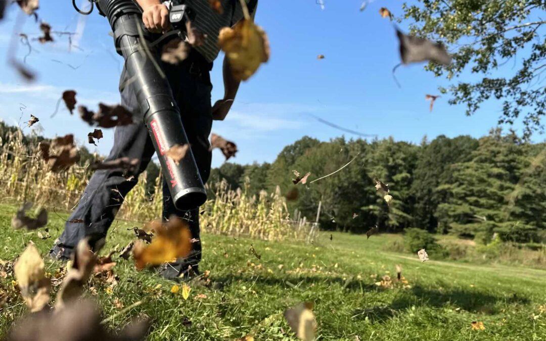 Spring cleanup removing leaves in Portsmouth NH