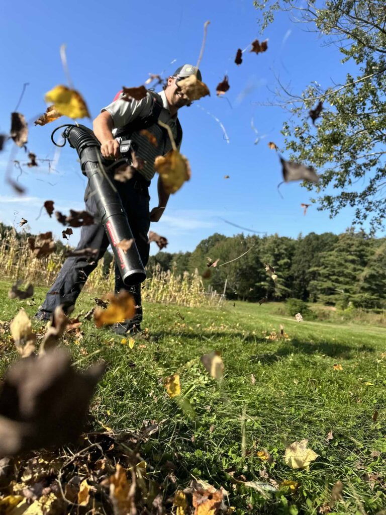Spring cleanup removing leaves in Portsmouth NH